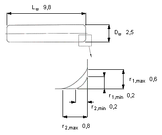 RN-2.5x9.8 BF/G2轴承样本图片